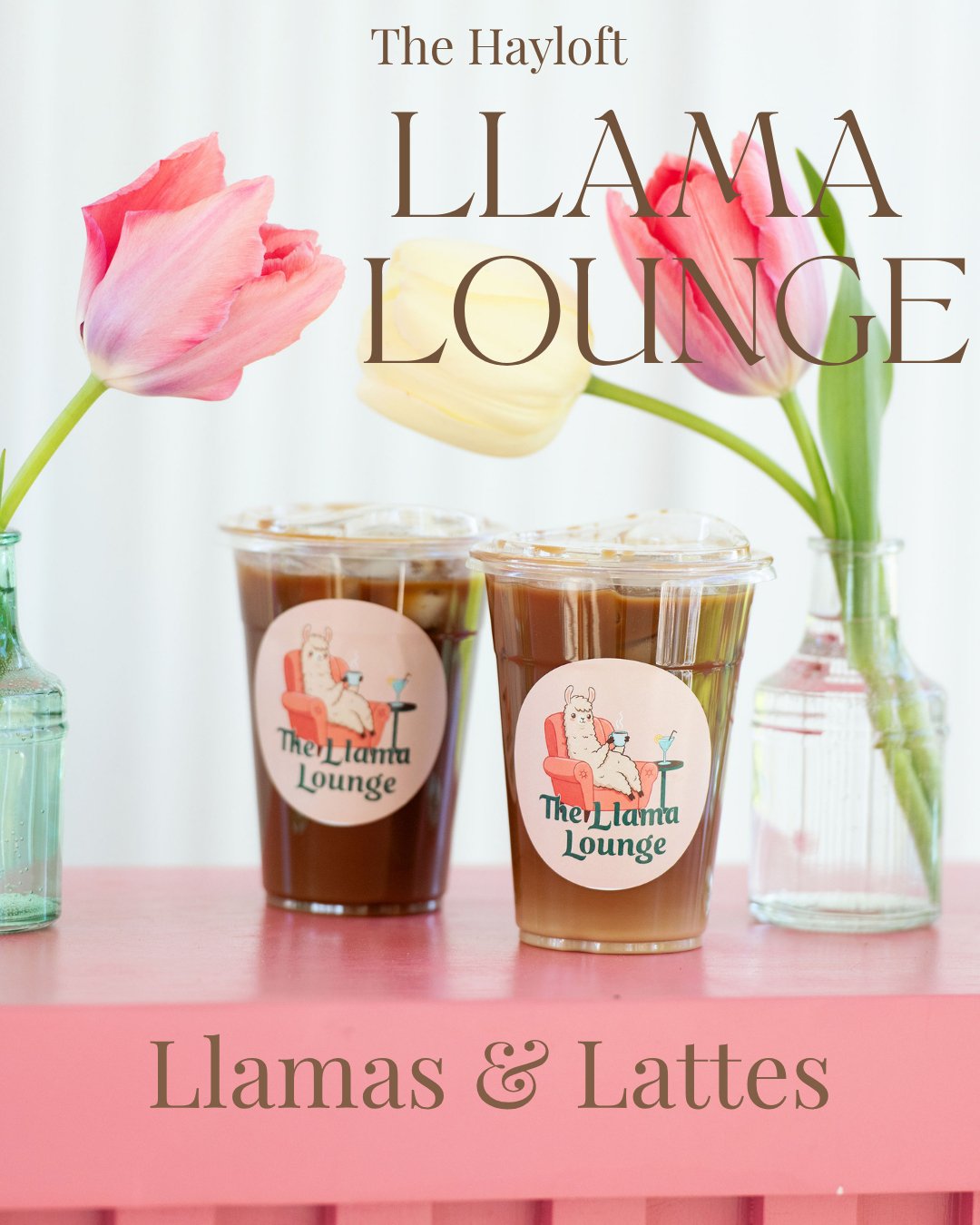I can't think of a better way to enjoy a cup of coffee, surrounded by llamas. 

June 14th, the Llama Lounge is open and we have a seat for you.

Enjoy petting, taking selfies, and loving on llamas, goats, mini donkeys &amp; ponies all while sipping y