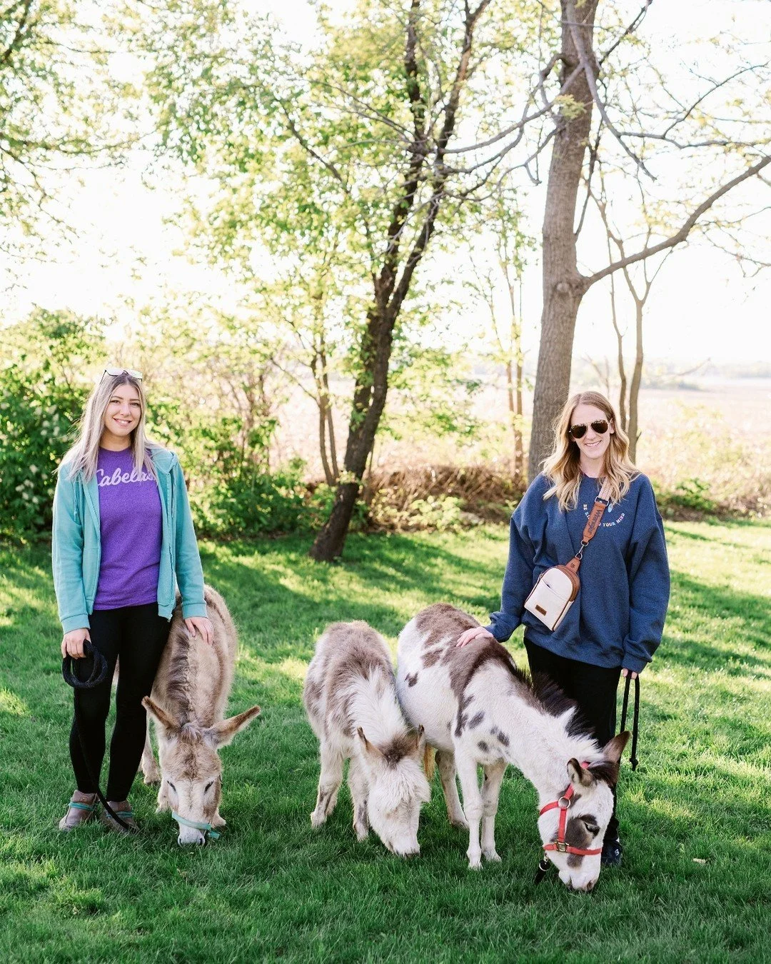 The ultimate Minnesota adult recess does exist. 👇

Say hello to The Llama Lounge&mdash;a premium, 1.5-hour experience on our scenic 40-acre horse ranch.

Here&rsquo;s the itinerary:
☕ Grab a custom craft latte
🦙 Mingle with llamas, mini donkeys, go