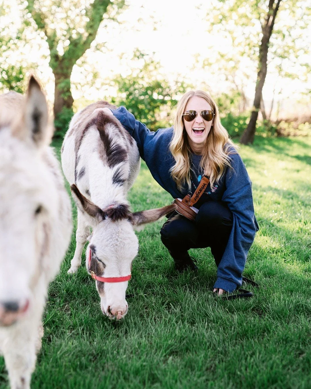 Adulting is hard. Give your inner child the wheel for an afternoon of coffee, treats, and animal cuddles. 🍰🐴

Pet a mini donkey and all of your problems will melt away, guaranteed! 

Next chance is at our Llama Lounge on July 25th. 

Snag a ticket.