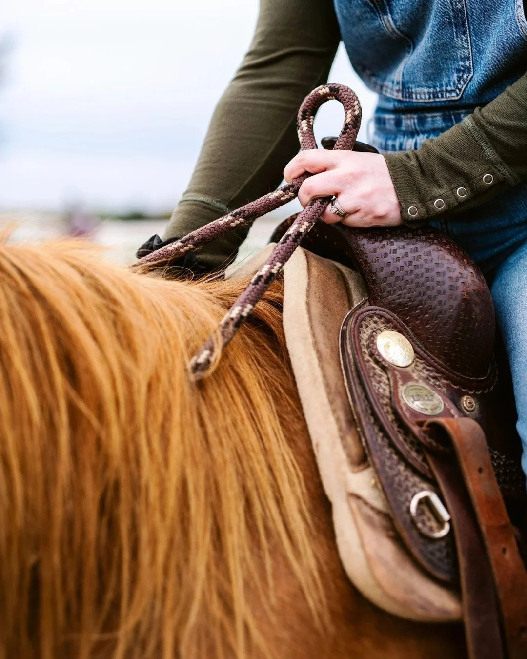 Boots &amp; Brushes: Saddle Up, Sip &amp; Paint

When was the last time you did something just for the joy of it? No deadlines. No screens. Just you, a great glass of wine, and the healing energy of some very cute four-legged friends. 🐴✨

Investing 