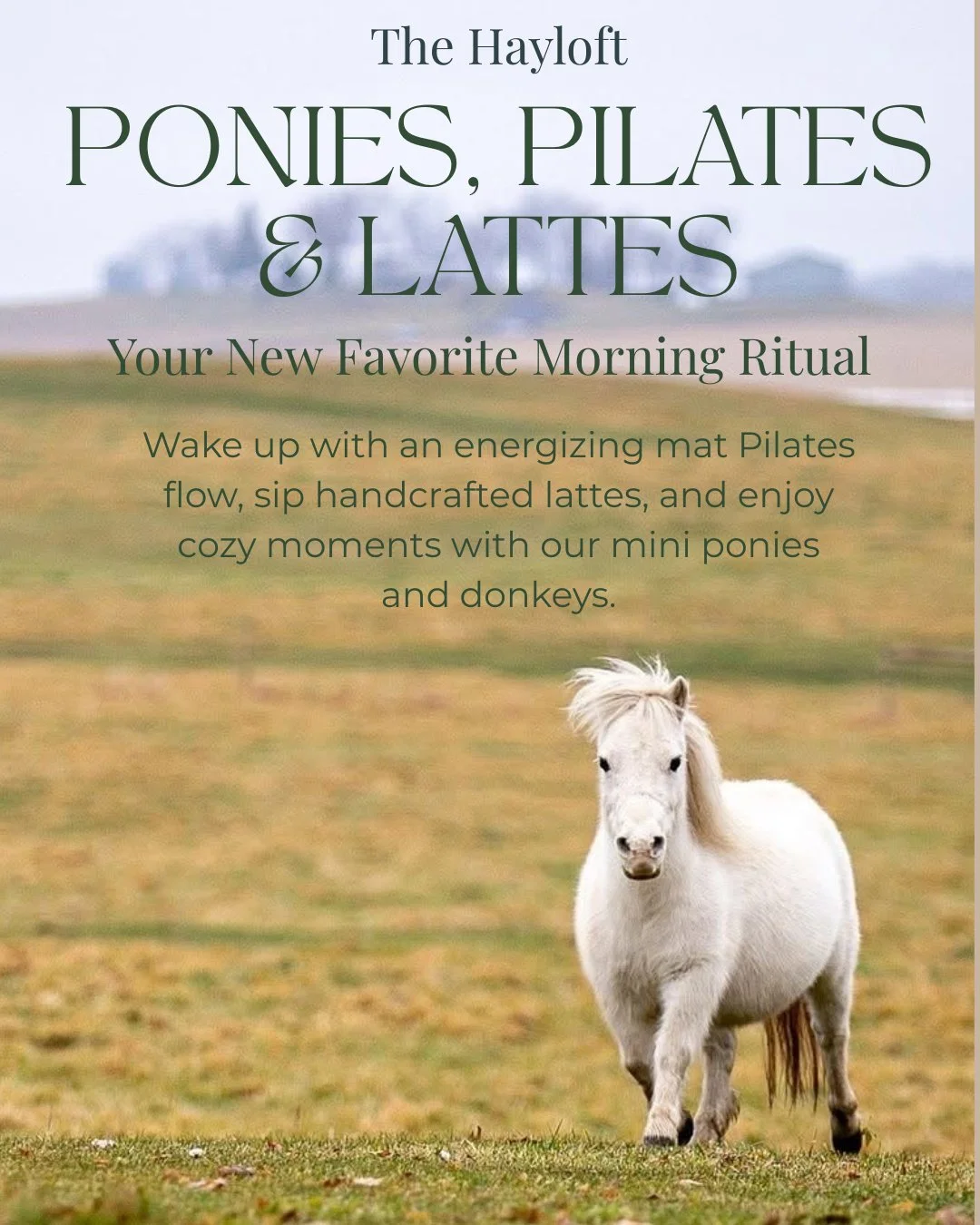 Rise, Shine, &amp; Align: Pilates, Ponies, &amp; Lattes

Trade your morning alarm for a peaceful start on the farm. Kickstart your day with a rejuvenating mat Pilates flow designed to energize your body and center your mind. The morning magic continu