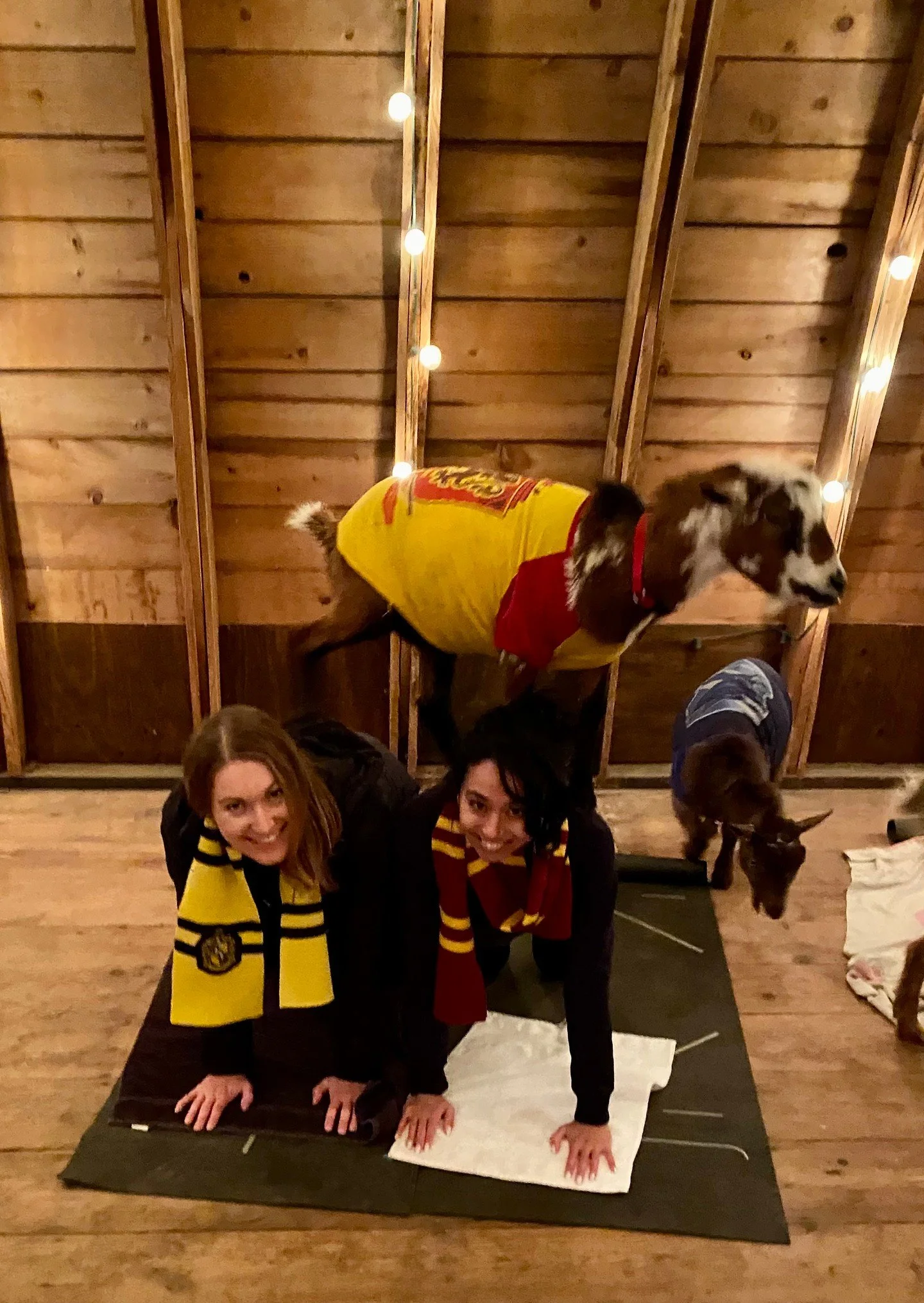 Wizards &amp; Witches, this one is for you! Muggles, stay home!

Wizards &amp; Witches Goat Yoga. Come dressed to impress and enjoy some Butterbeer. 

#goatyoga #thehayloftmn #stpaul #exploremn