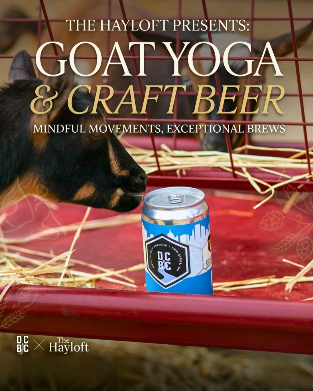 Goat Yoga & Beer at Dual Citizen Brewing // June 28th // 10 am - 11 am