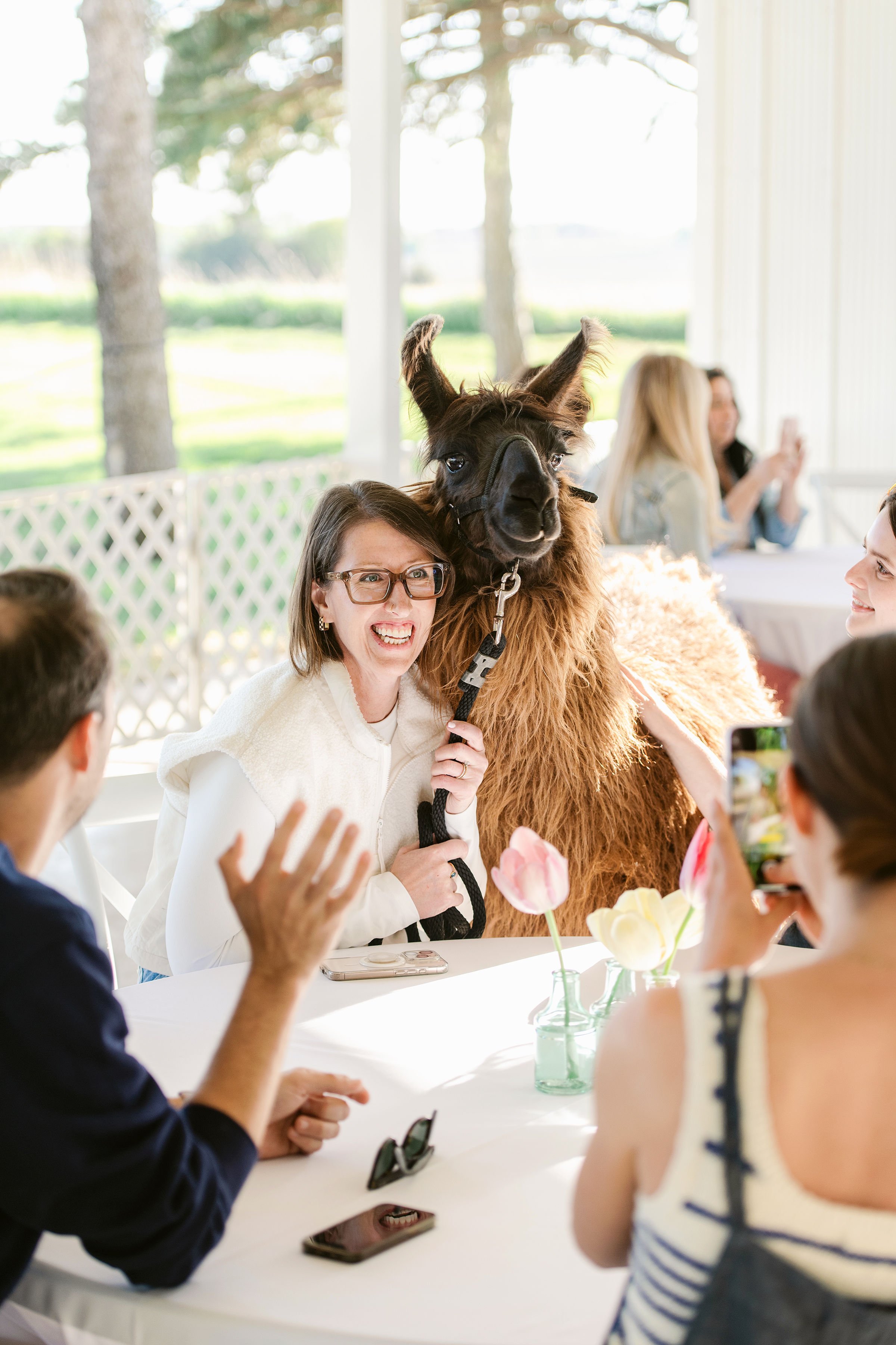 The Llama Lounge: A petting zoo & coffee for adults only // June 14th // 11 am - 12:30 pm