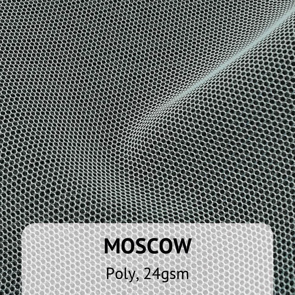 mesh_Moscow.jpg
