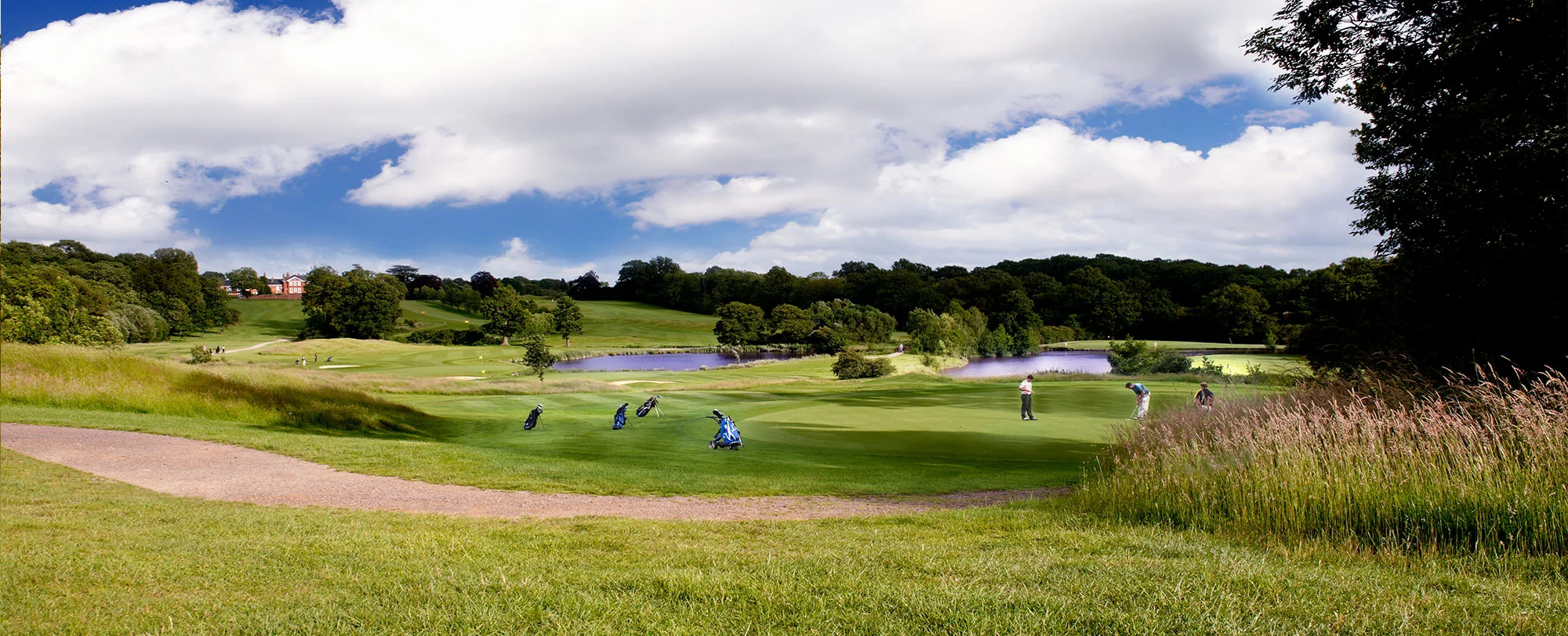 Golf-Top.jpg