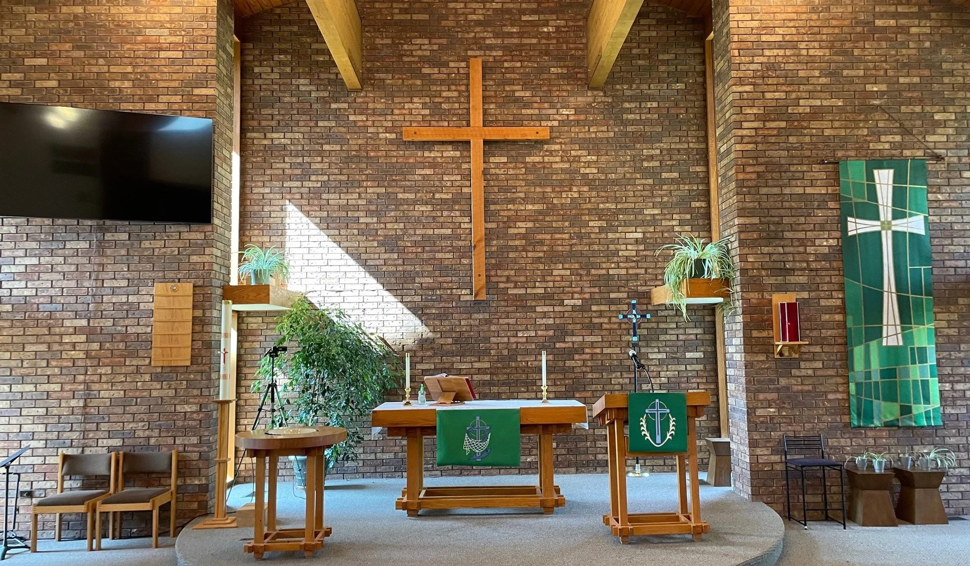 sanctuary green 2023.jpg