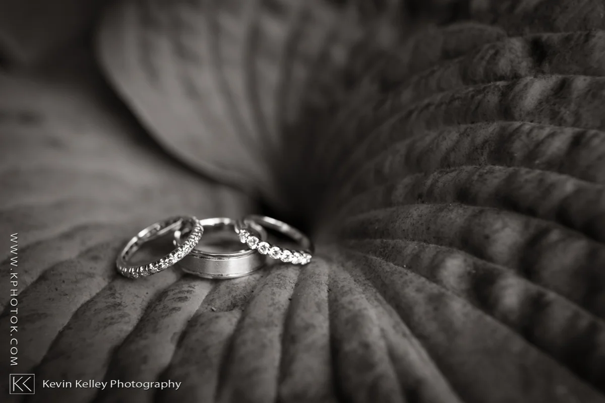 Ariel&Mike-woodwinds-branford-branfort-ct-wedding-2052.jpg
