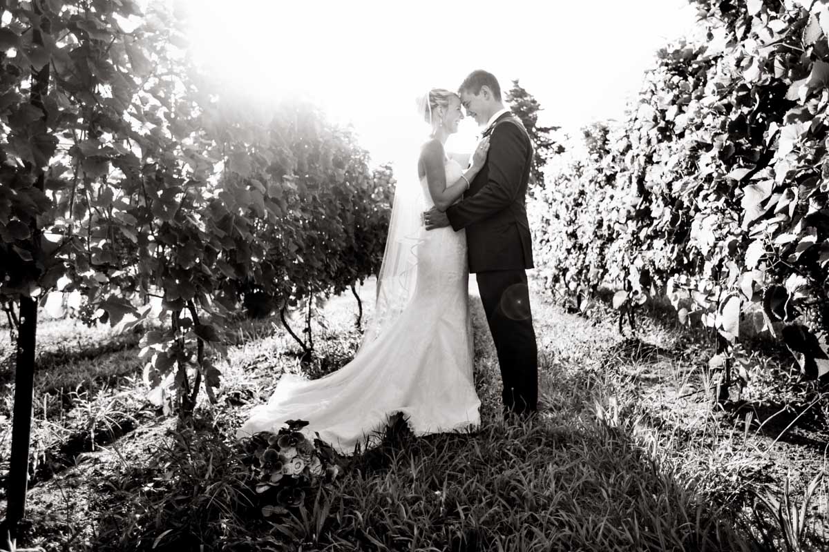 salt-water-farm-vineyard-wedding-meghan-charlie-2023.jpg