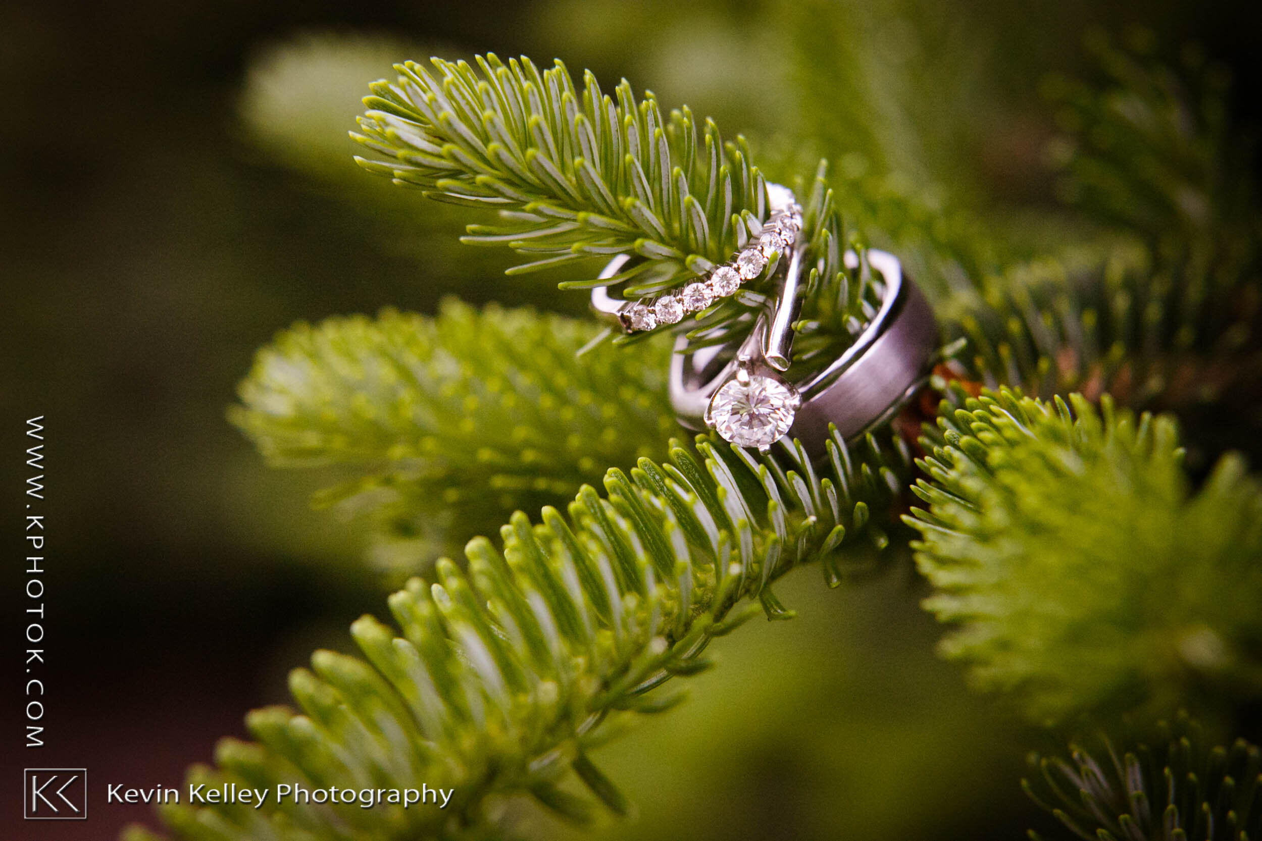 overlook-geer-tree-farm-wedding-2040.jpg