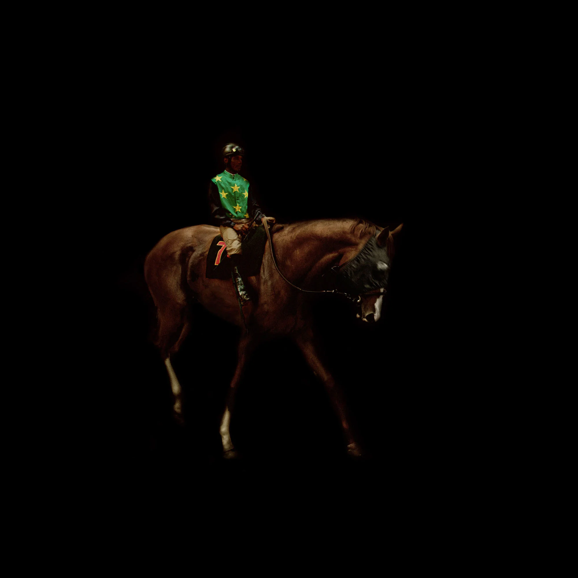 002_PFERD.jpg