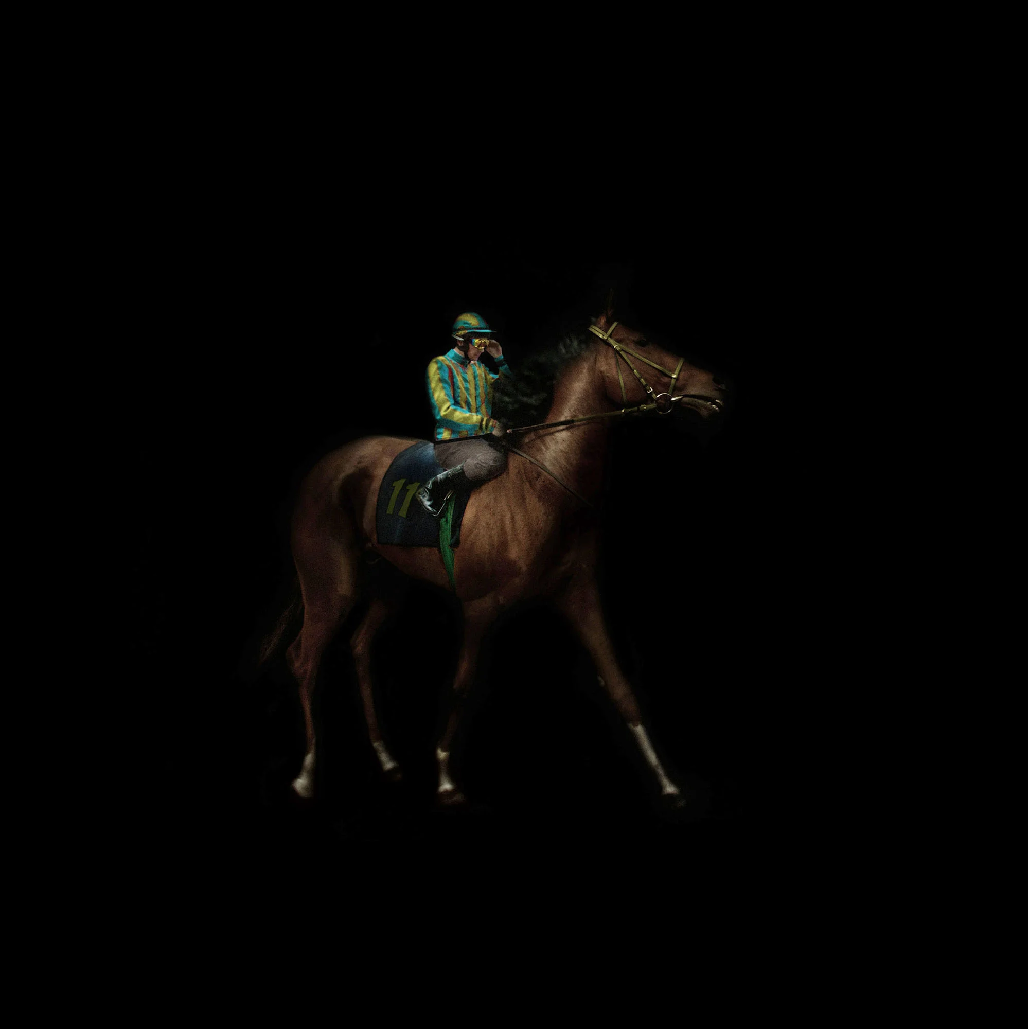 003_PFERD.jpg