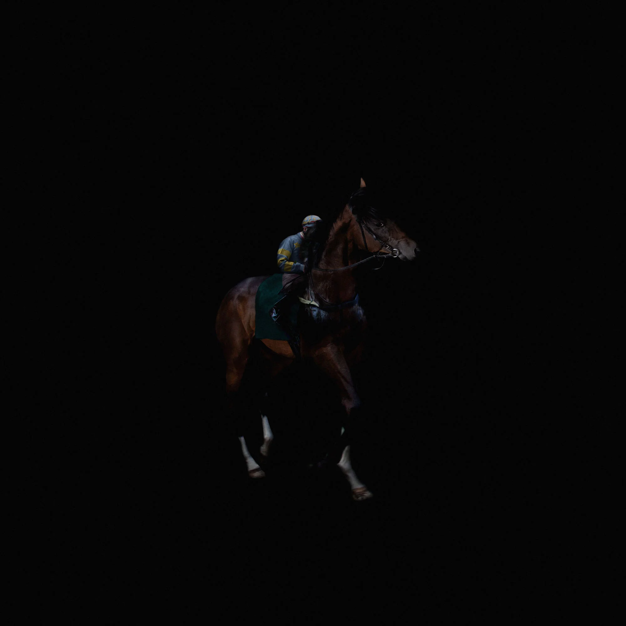 006_PFERD.jpg