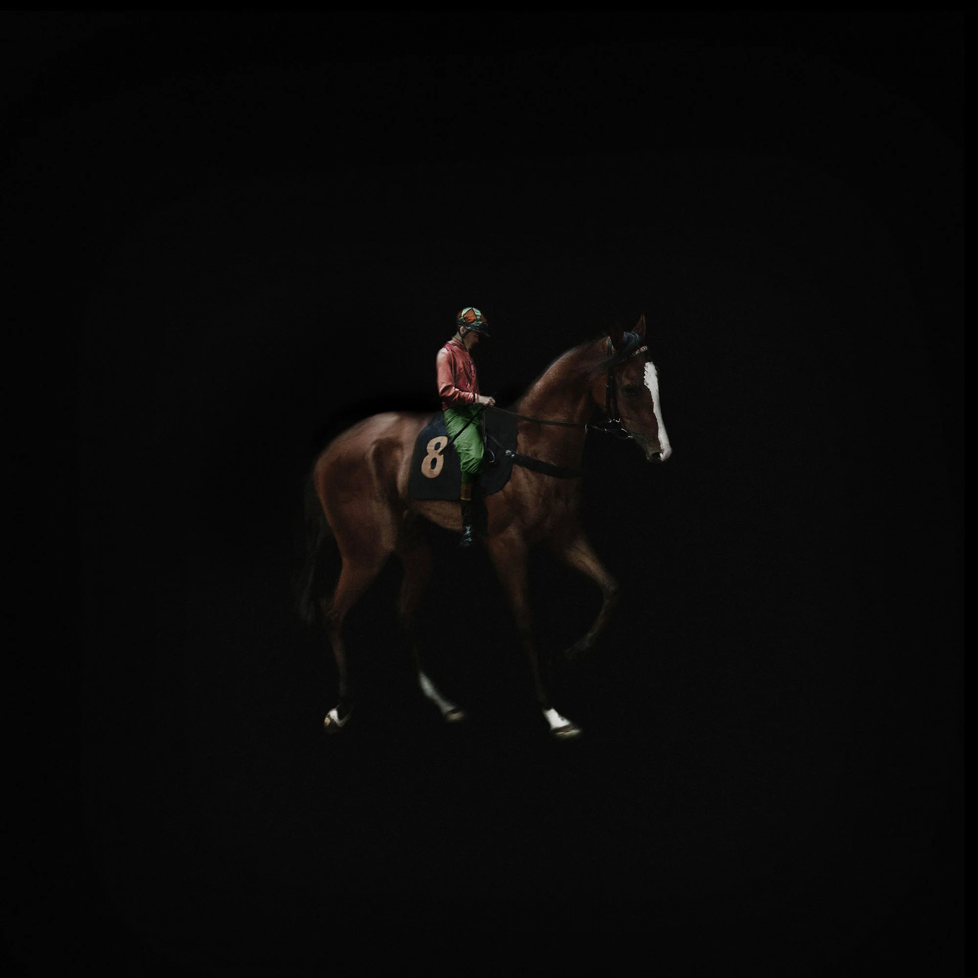 004_PFERD.jpg
