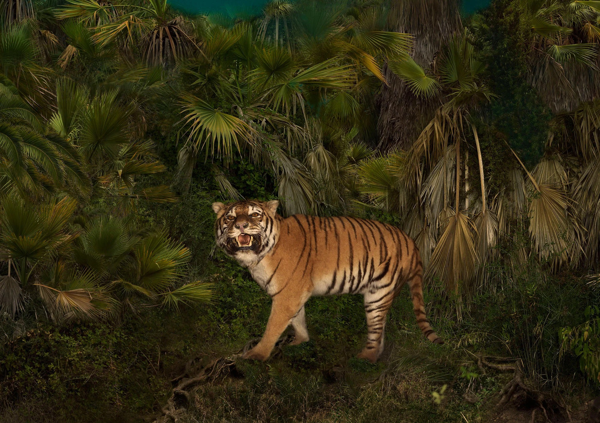 183_133tiger_183_133.jpg