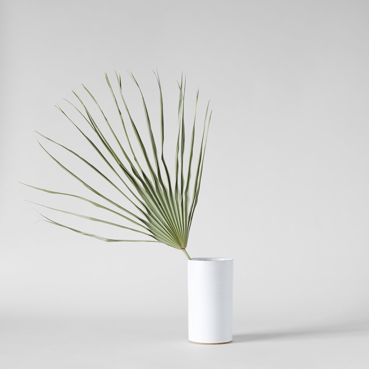 If Unique Home Décor Makes Your Heart Sing, Then You Need These Dried Botanicals 