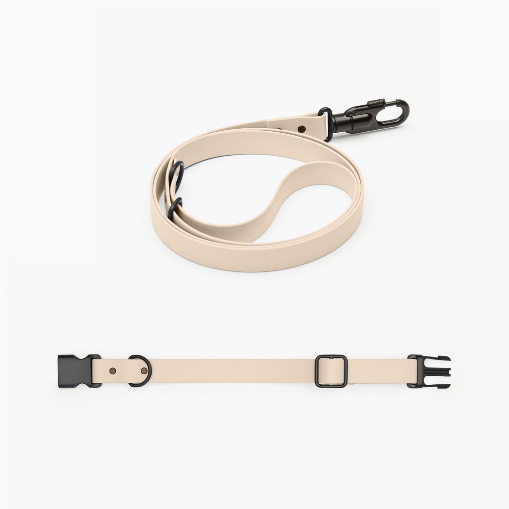 fable leash and collar set in blush