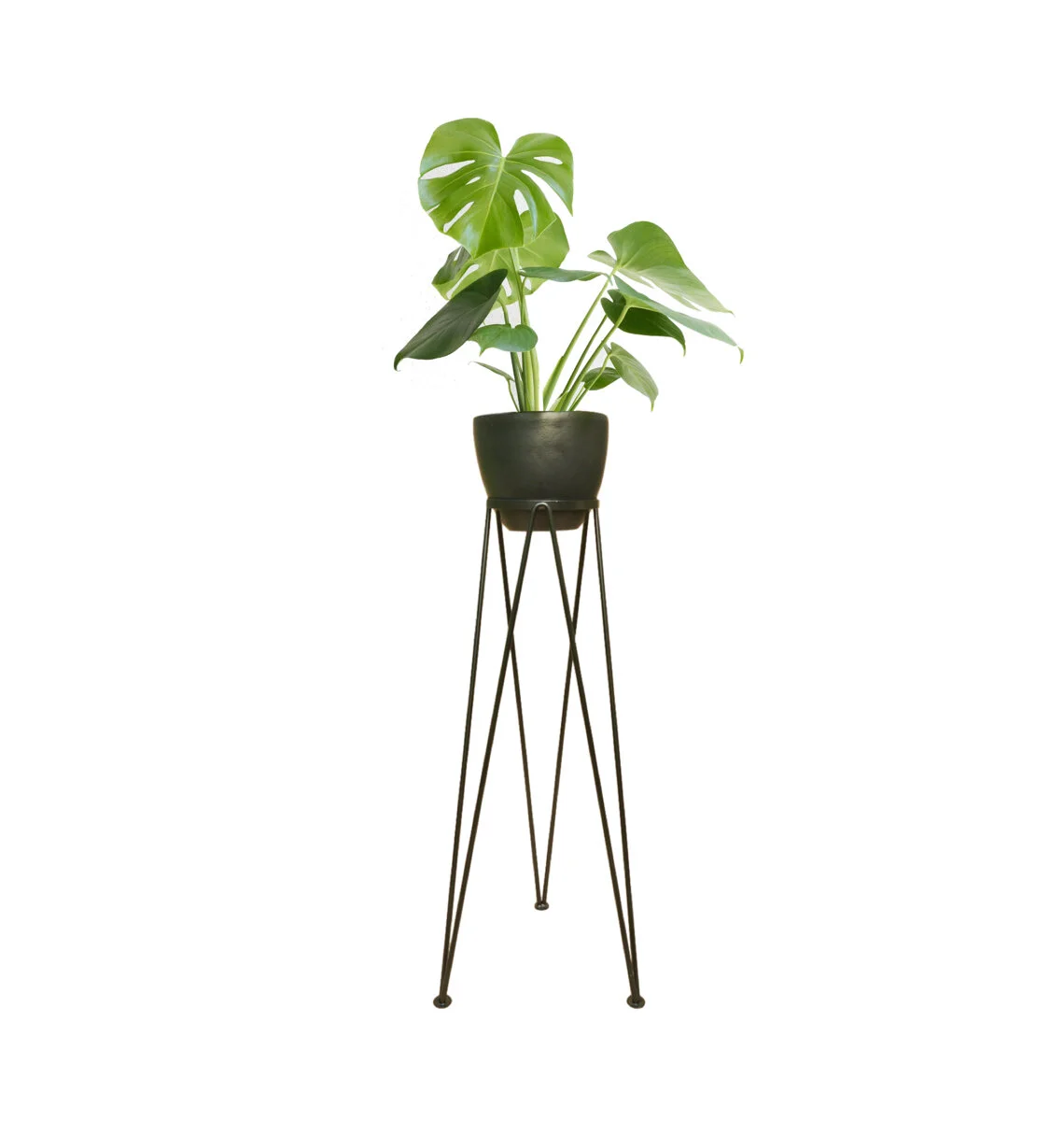 The Perfect, Chic Planter That’s Missing From Your Life 