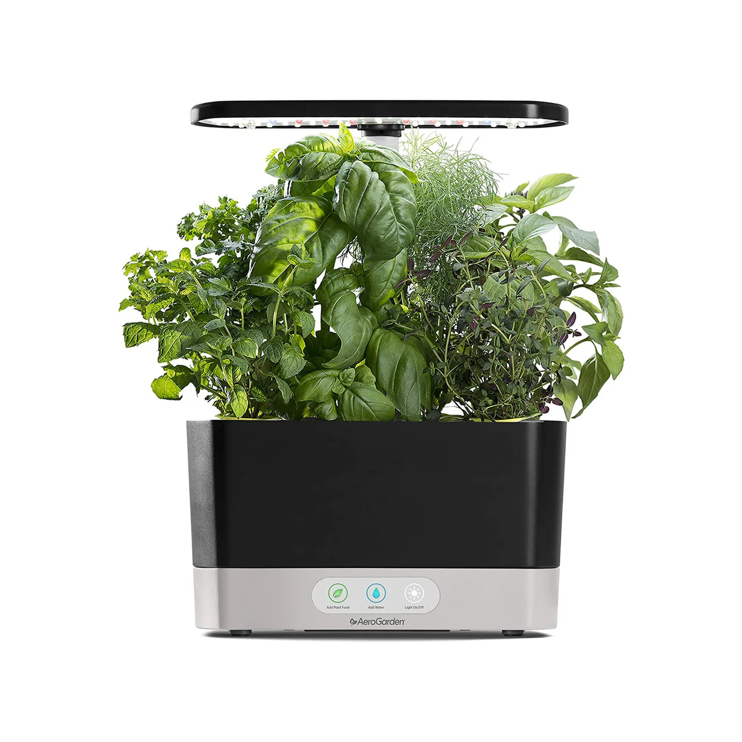 If You Love Fresh Herbs But Have No Outdoor Space, This Garden Is A Dream