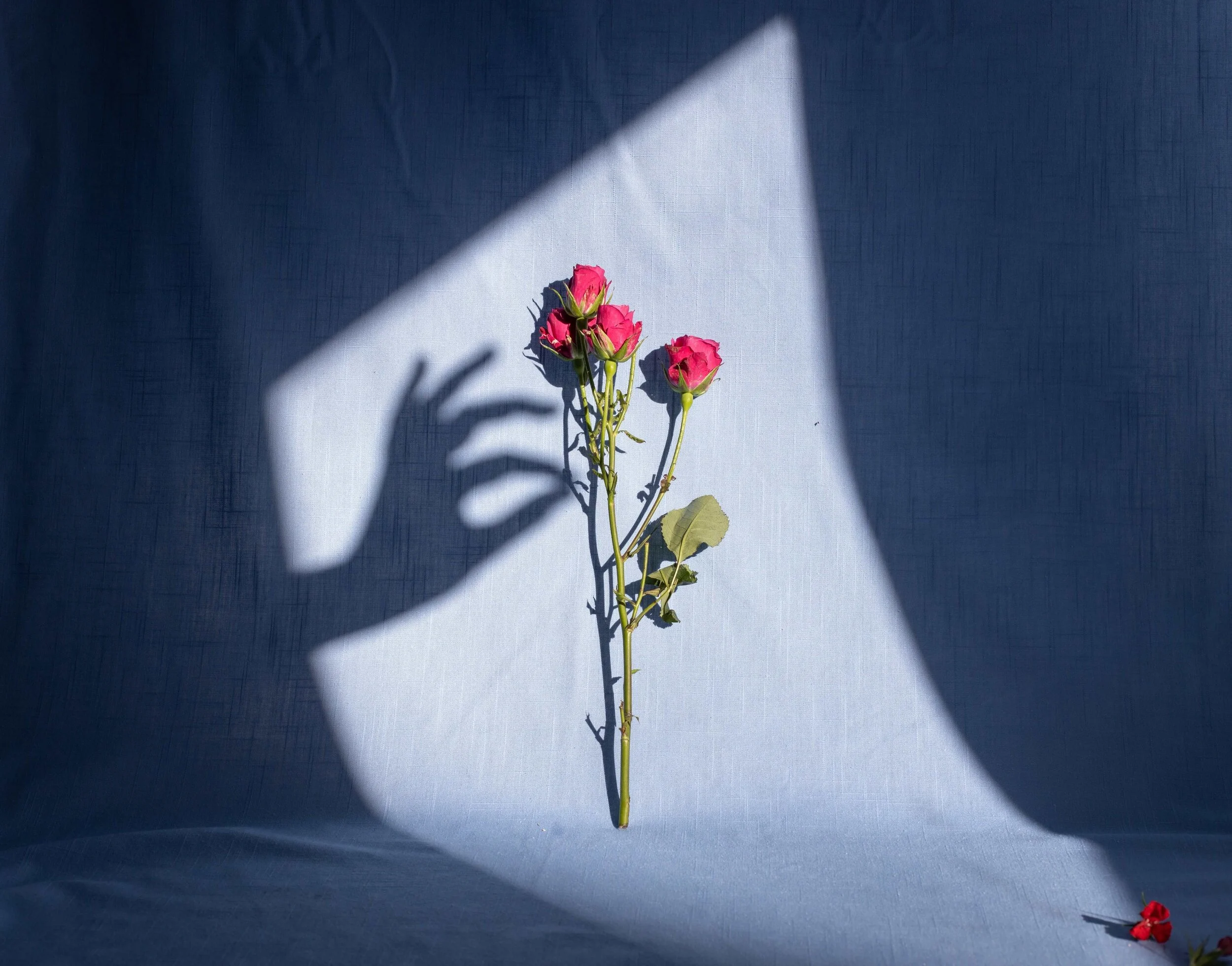 Here Are 5 Ways To Create Firm Boundaries With A Soft Touch