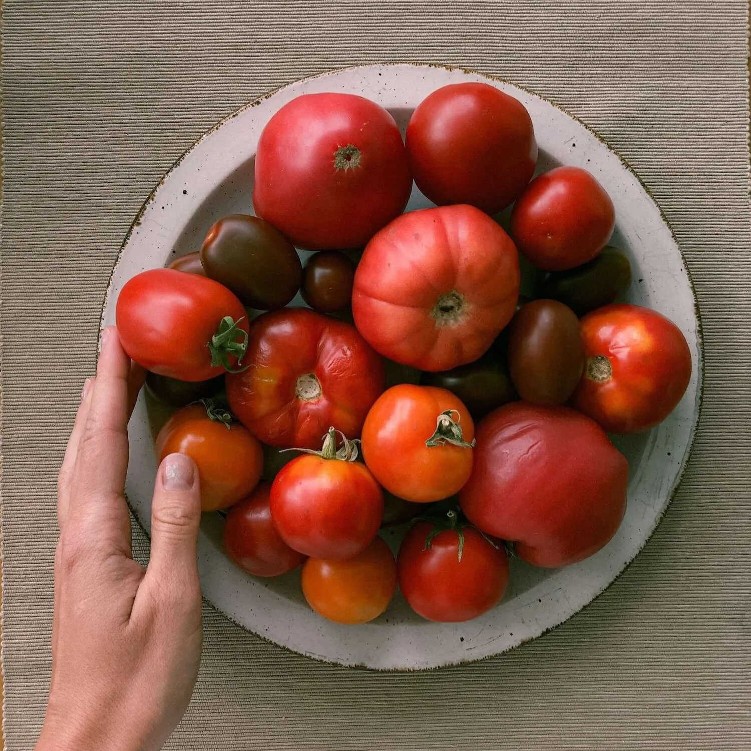 This Is The Perfect Bite Of Food. I’m Not Taking Rebuttals At This Time.