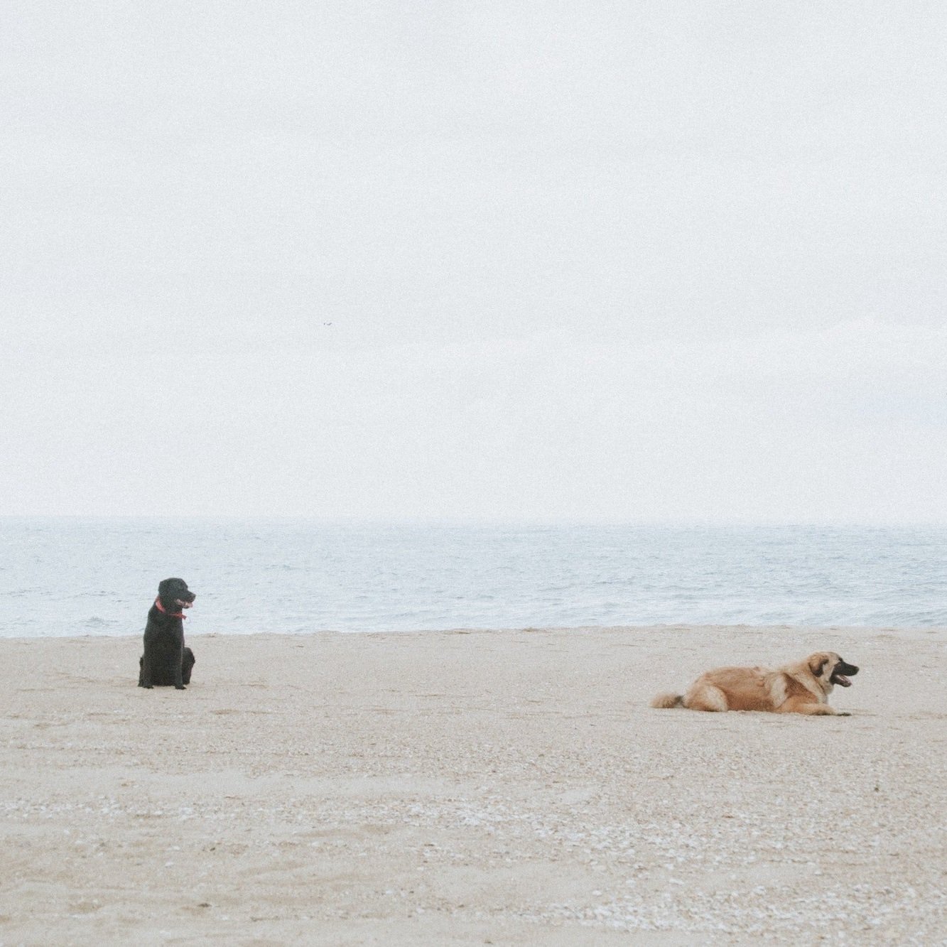 This Is A Genius Response If The Person You’re Dating Is Being Flaky Or Unclear With You