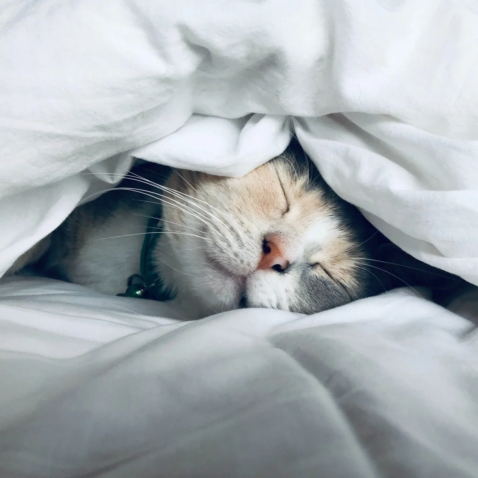 This 5-Second Hack Will Help You Pop Out Of Bed Every Day, Even If You’re NOT A Morning Person