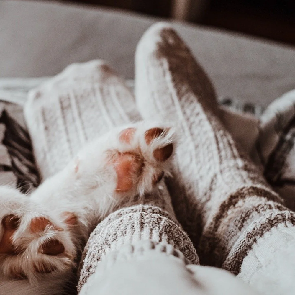 17 Cold-Weather Style Essentials If You Cannot STAND Anything Scratchy On Your Skin