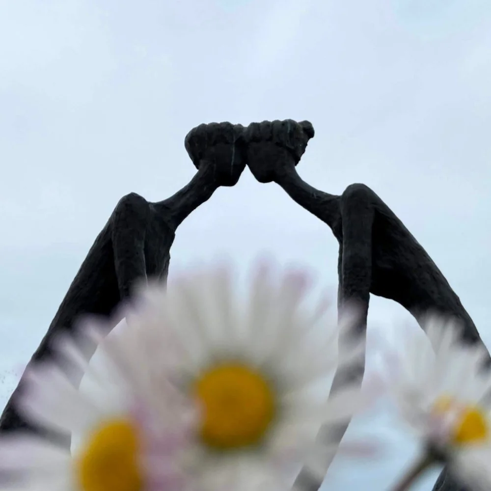 Have You Heard Of The Bird Test Theory?