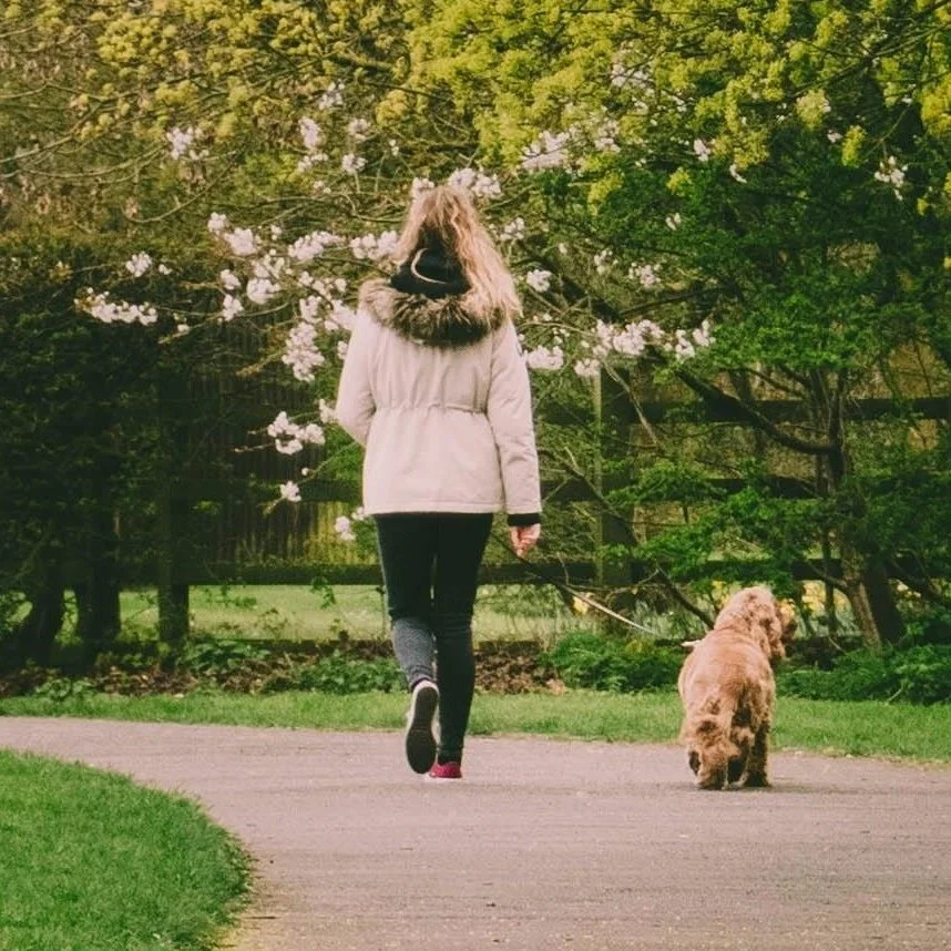 There Are 4 Magical Things That Will Happen When You Start Walking One Hour A Day 
