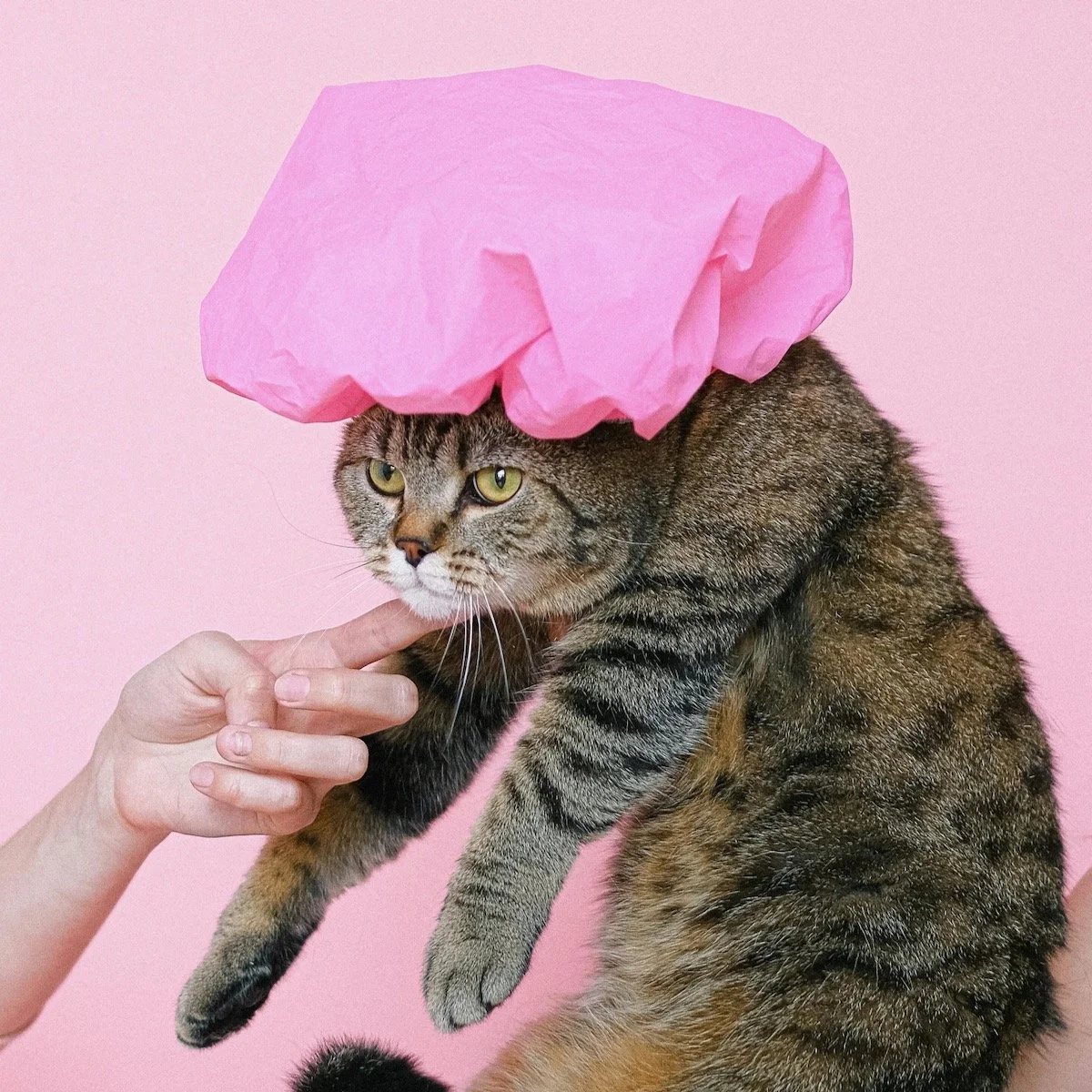 12 Completely Mindless Things That Are Scientifically Proven To Reduce Stress