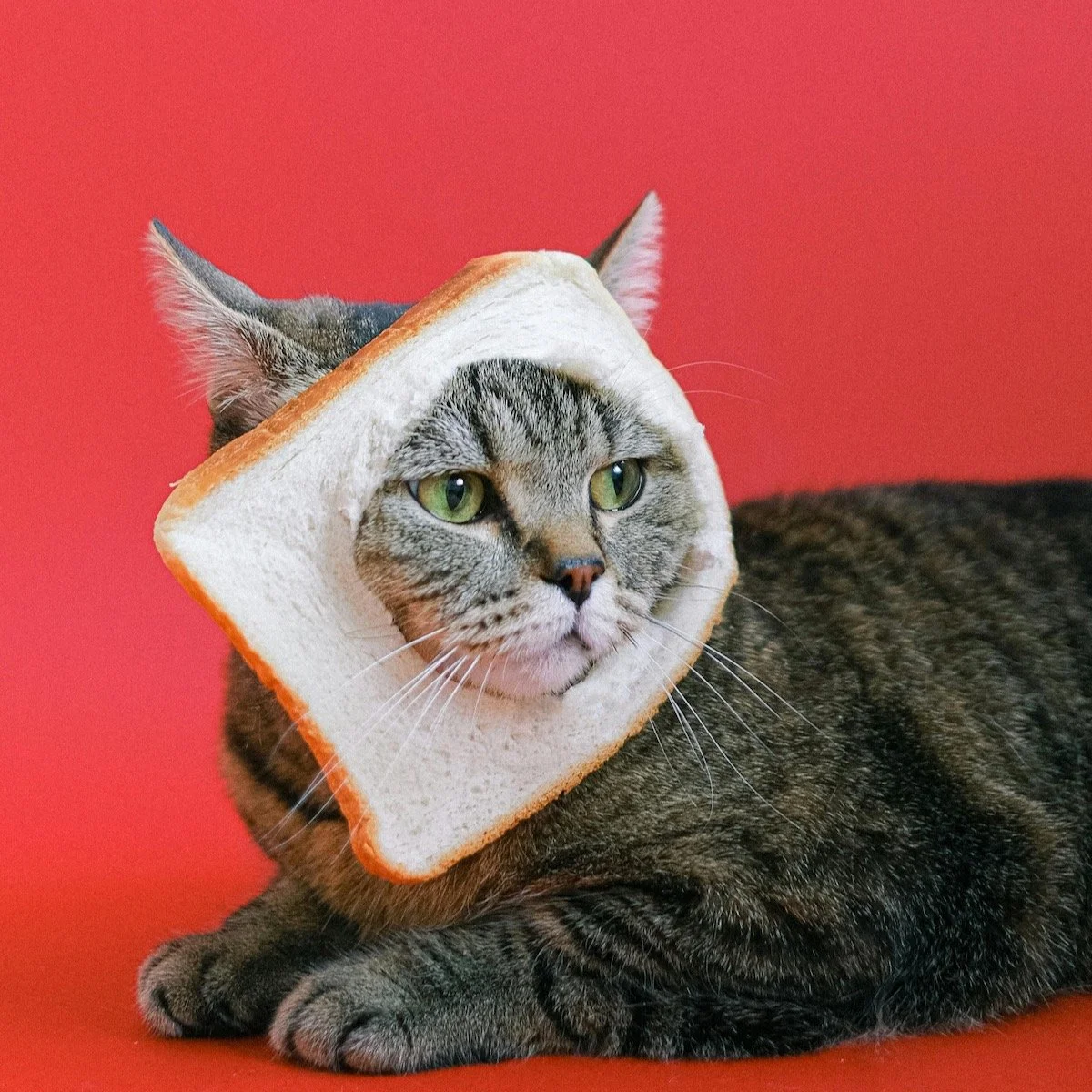 Why Am I So Ravenously Hungry During My Period And What Do I Do About It?