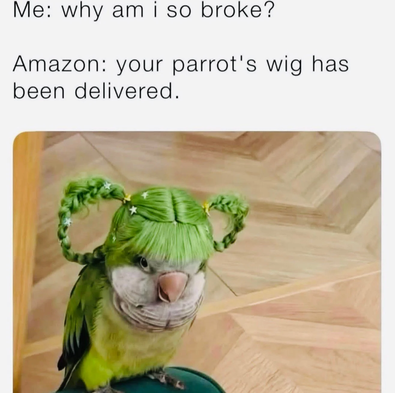 It remains a mystery. 

#LetsTalkCandidly
Via @sarcasm_only