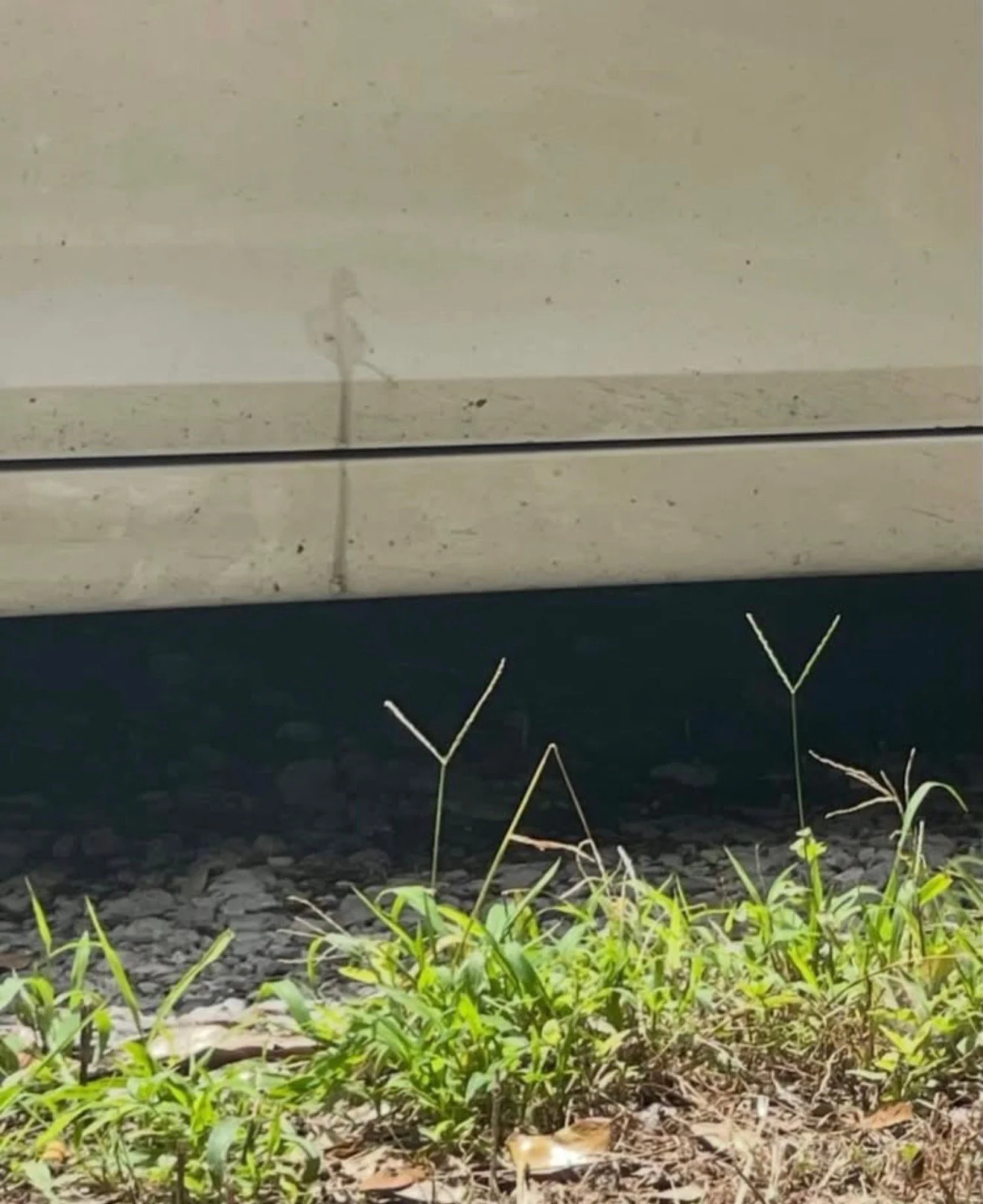 Spring arrives in 4 days. Plan your emotional arc accordingly. 

#LetsTalkCandidly
Via @everyverything