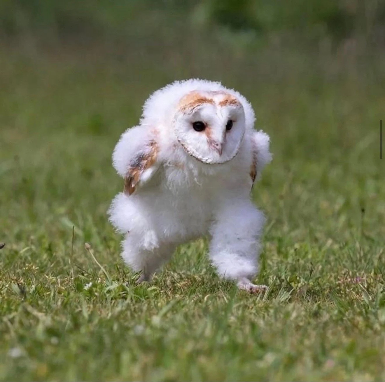 There are 16 things under $20 that we use every day that genuinely make us happier, prettier, healthier, better people. 

Link in bio. 

#LetsTalkCandidly
Via FB | Hannie Heere
🔗: https://www.thecandidly.com/article/the-16-things-under-20-i-use-ever