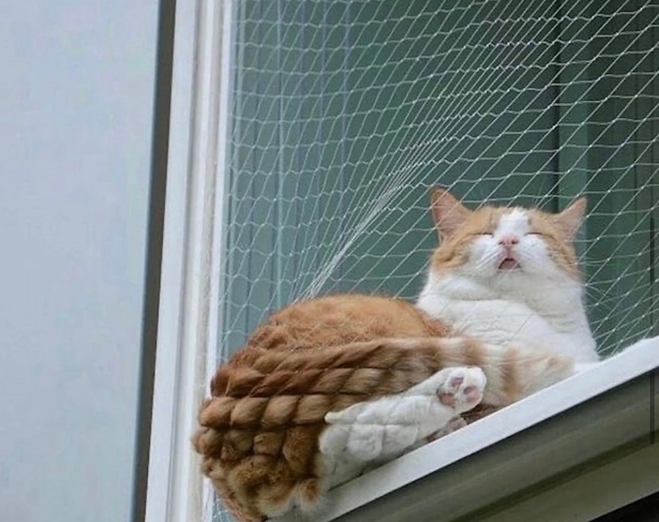 Can you tell which essay we wrote and which essay we trained AI to write in our voice? Go read it, come back and tell us. God, we hope you get it right or we&rsquo;re out of a job. 

Link in bio. 

#LetsTalkCandidly
Via @mignonettetakespictures
🔗: h