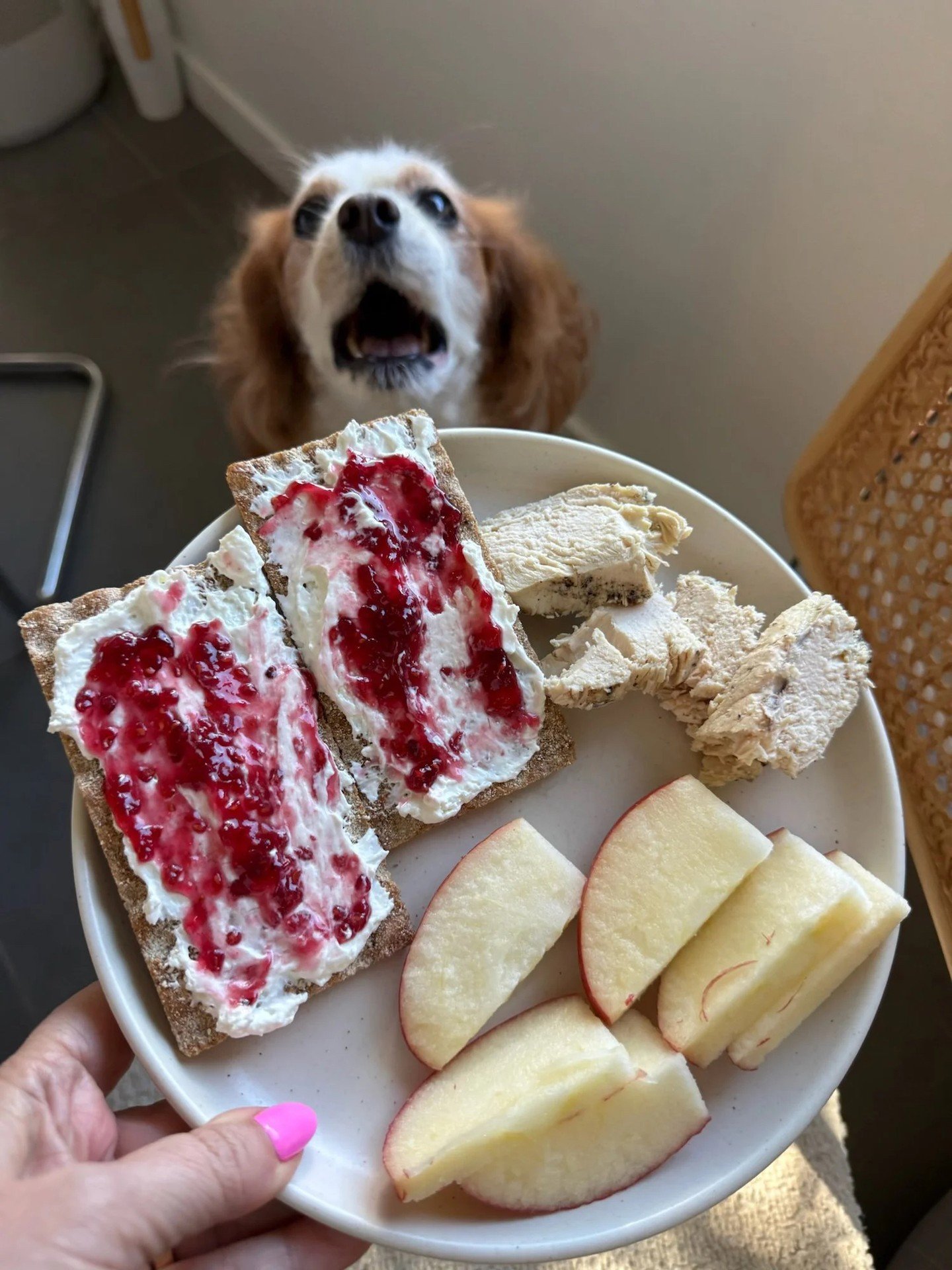 We have figured out the perfect daily snack if you&rsquo;re on a fat loss journey and are desperate for some crunch, some sweet, some salt, need to keep your cals low, but you also get ravvvvvenously hungry during the day. It sort of hinges on this o