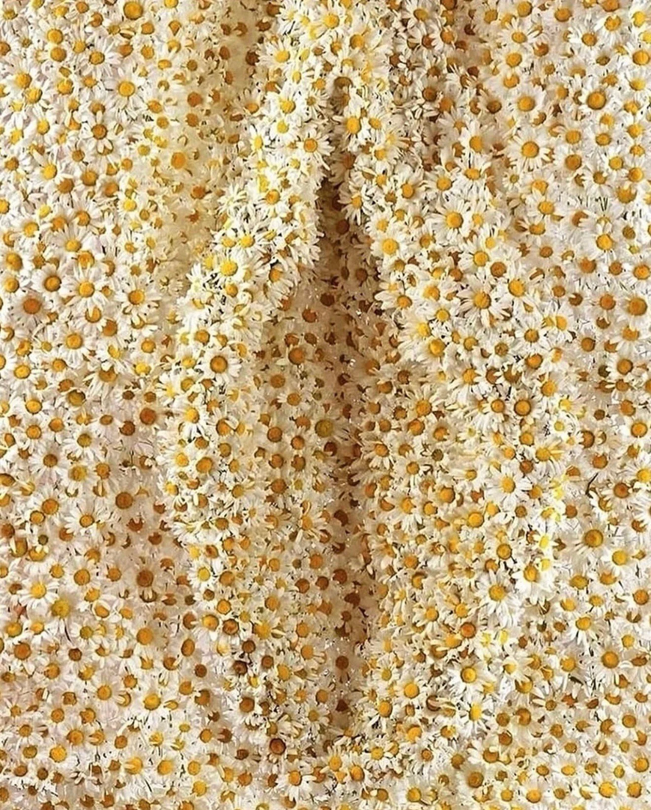 If s_x is painful for you, or if you just sort of dread it, try these 3 things immediately. 

Link in bio.
ps: Yes we have to type it that way or else we get in trouble. Can you believe this?
#LetsTalkCandidly
Via @mamagena
🔗: https://www.thecandidl