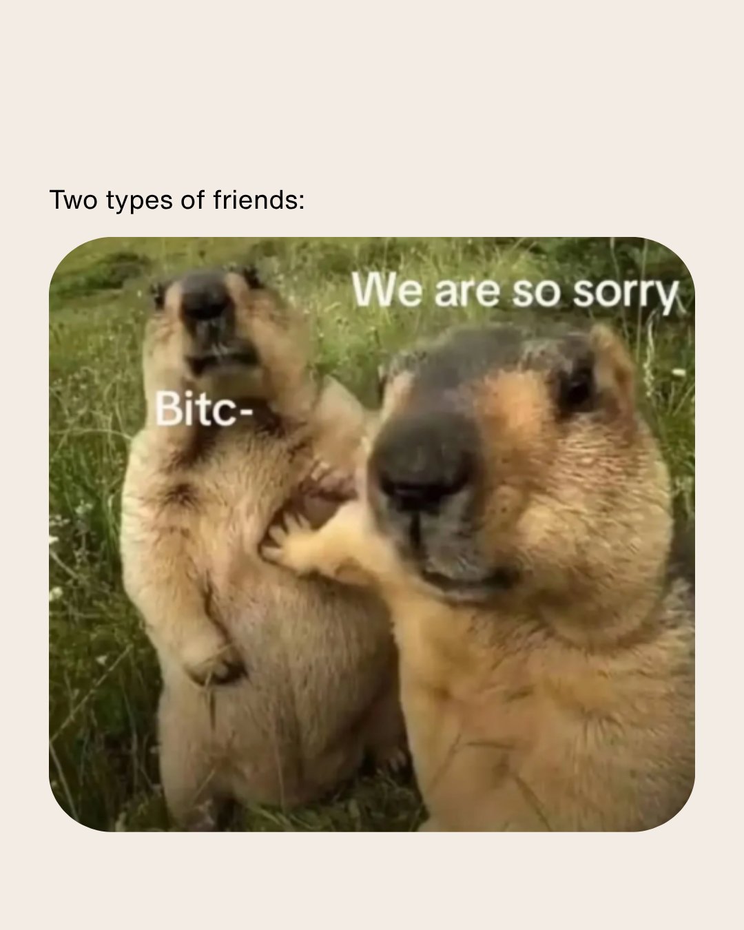 We used to be the bitc-. But we&rsquo;ve softened. Sort of. You?

#LetsTalkCandidly
Via @hausofvagina