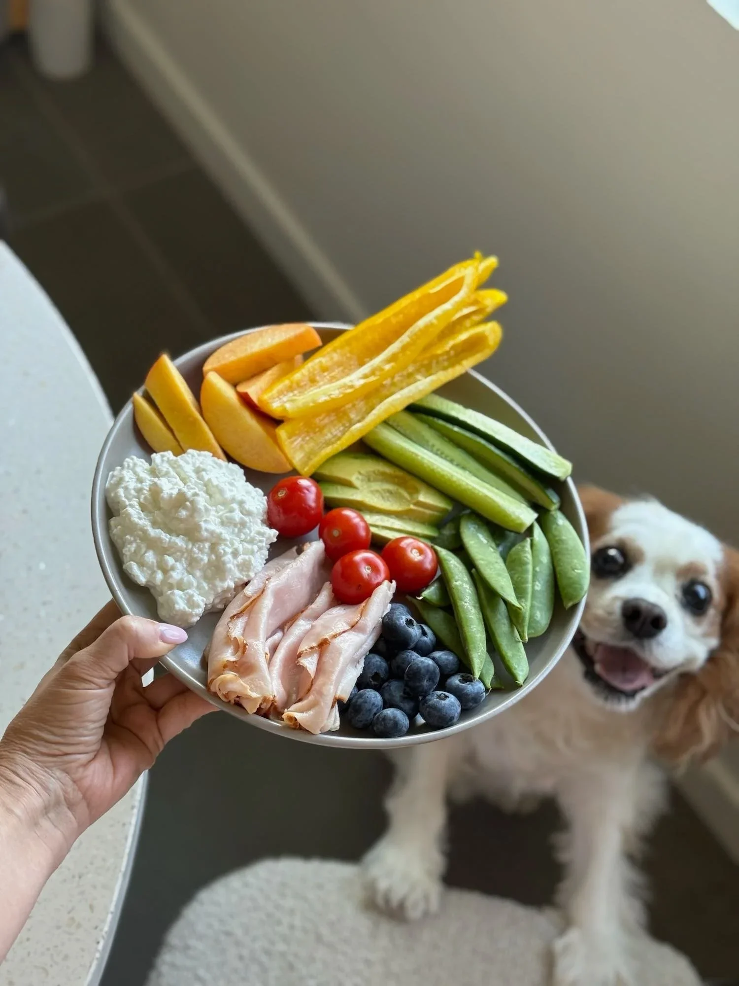 VEG1.webp