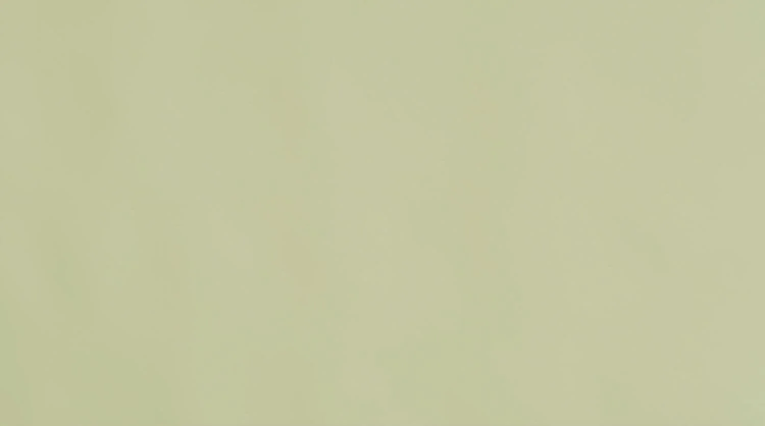 Screen.jpeg
