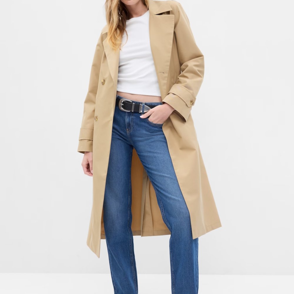 The 15 Affordable(ish) Winter Coats That Are Also Gorgeous — The Candidly