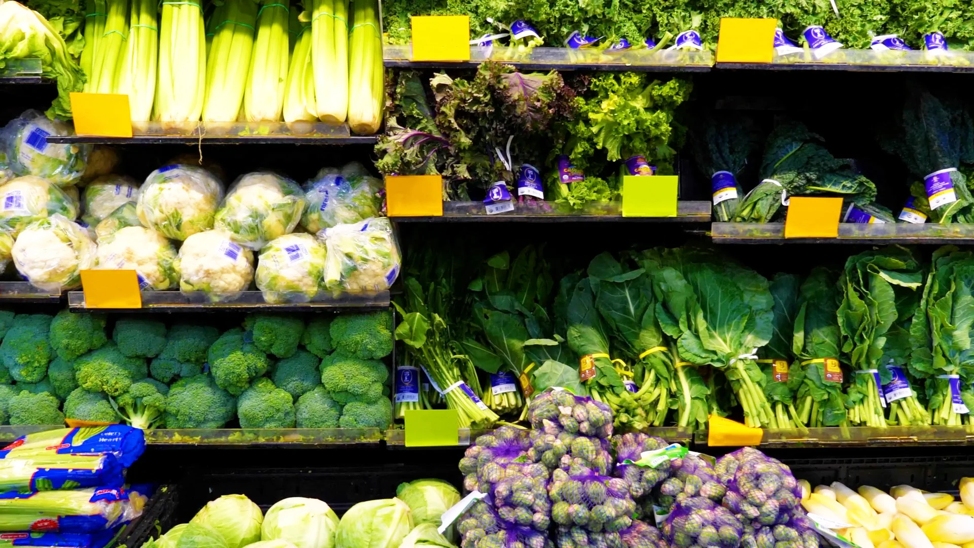 Climate+Website+Banner+Image 2.jpg