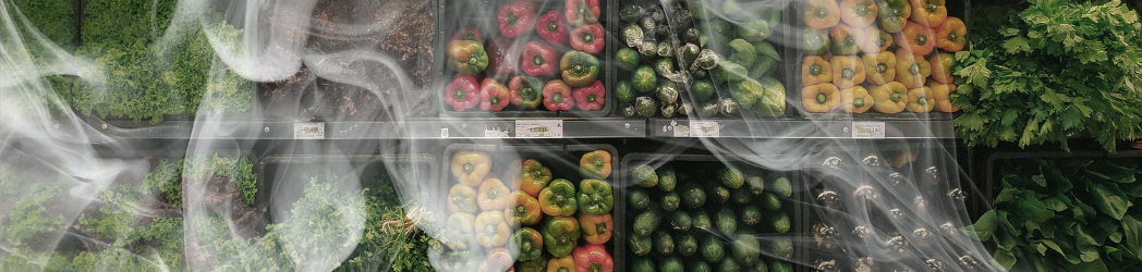 Gristedes Supermarkets Admits to Leaking Climate Pollutants