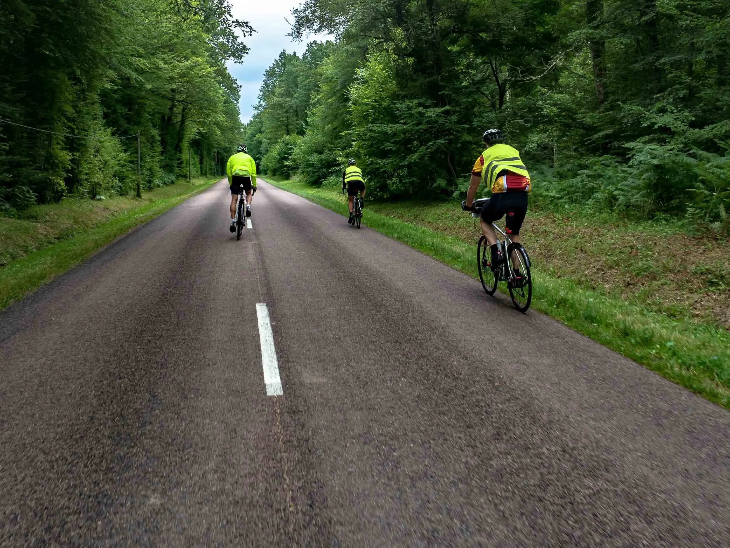 tda-cycling-paris-freiburg-forest.jpg