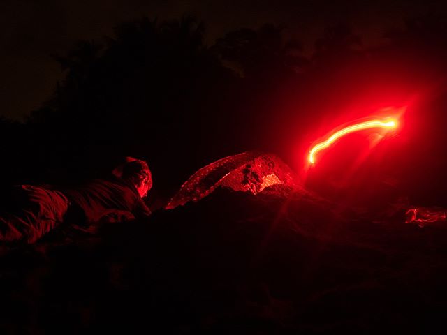 Saving the turtles and their nests is hard work. It's nightly four-hour patrols, trudging on soft sand &mdash; in total darkness &mdash; fending off mosquitoes and sand flies, bearing the Caribbean humidity and rubbing shoulders with shadowy poachers