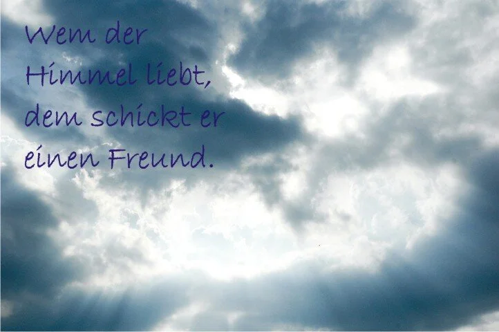 für meine wuli's