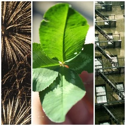 A new year, lots of new dreams...