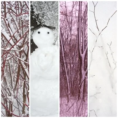 Winterimpressionen