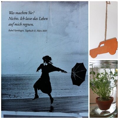 Lebensregen